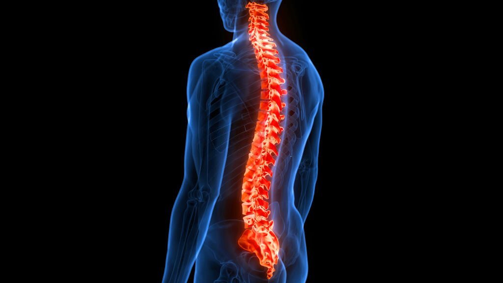 columna vertebral sin cirugia